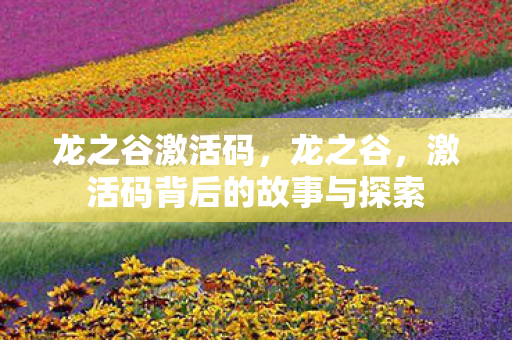 龙之谷激活码，龙之谷，激活码背后的故事与探索