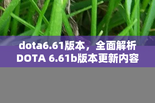 dota6.61版本，全面解析DOTA 6.61b版本更新内容及其影响