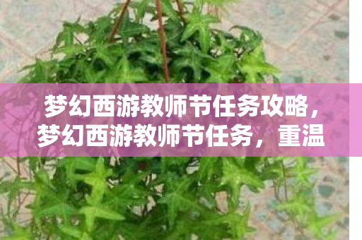 梦幻西游教师节任务攻略图片
