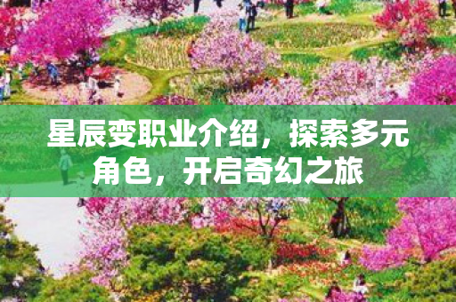 星辰变职业介绍，探索多元角色，开启奇幻之旅