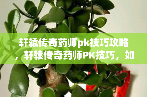 轩辕传奇药师pk技巧攻略图片