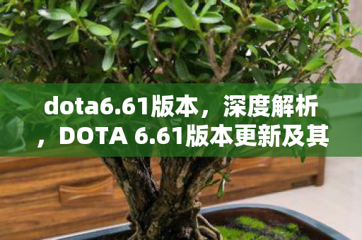 dota6.61版本，深度解析，DOTA 6.61版本更新及其影响