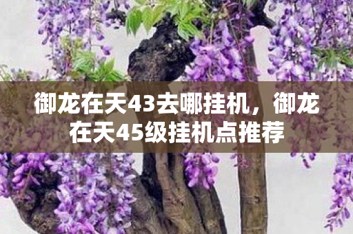 御龙在天45级挂机点推荐图片