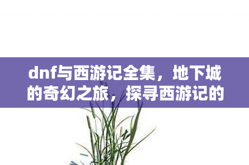 探寻西游记的未解之谜图片