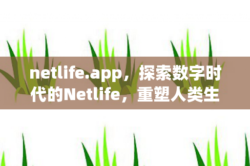 探索数字时代的Netlife图片