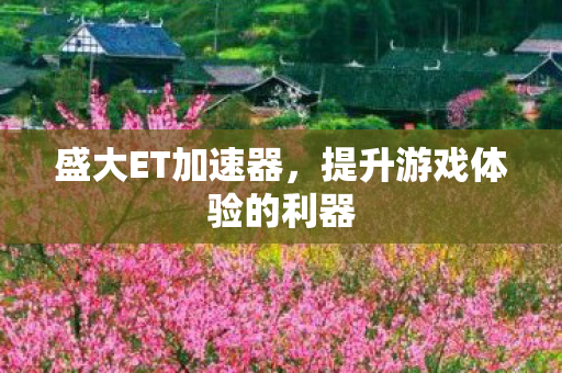 提升游戏体验的利器图片