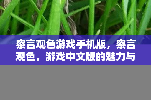 游戏中文版的魅力与挑战图片