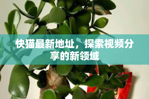 探索视频分享的新领域图片