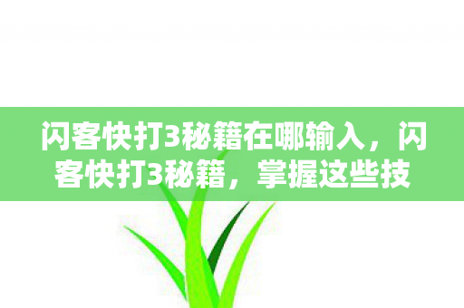 闪客快打3秘籍在哪输入图片