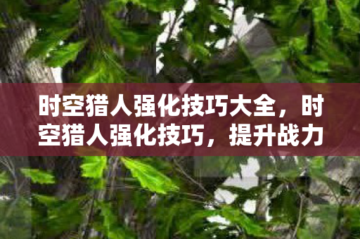 时空猎人强化技巧大全图片