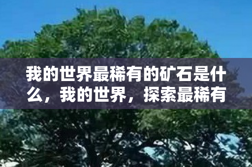 我的世界最稀有的矿石是什么图片