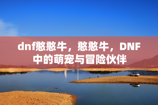 DNF中的萌宠与冒险伙伴图片