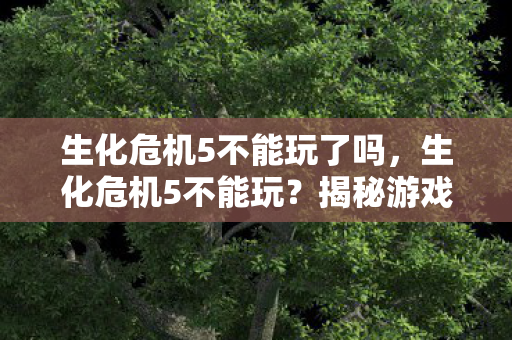 揭秘游戏无法运行的背后原因图片