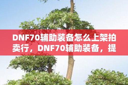DNF70辅助装备怎么上架拍卖行图片