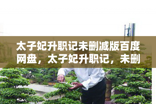 太子妃升职记未删减版百度网盘图片