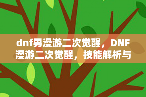 dnf男漫游二次觉醒图片