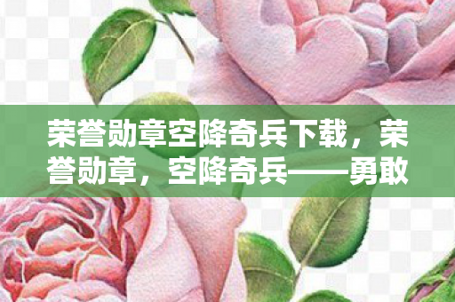 荣誉勋章空降奇兵下载图片