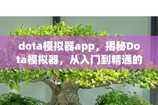 dota模拟器app，揭秘Dota模拟器，从入门到精通的全方位指南