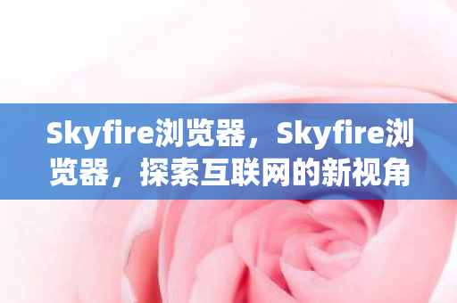 Skyfire浏览器图片