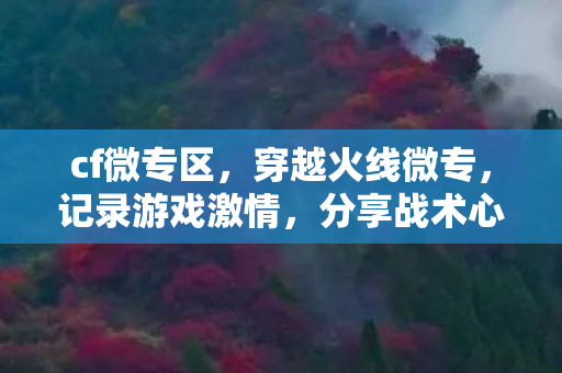 穿越火线微专图片