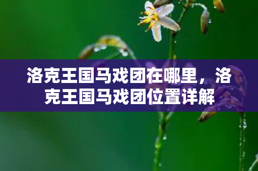 洛克王国马戏团位置详解图片