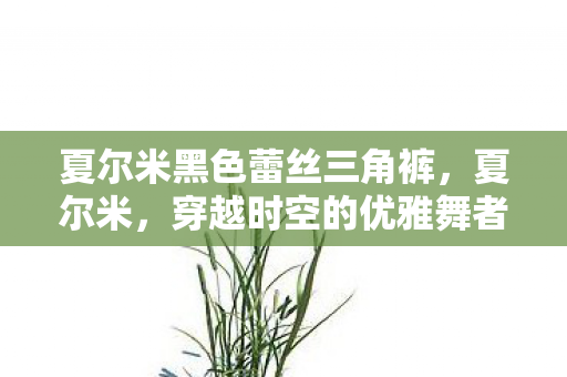 夏尔米黑色蕾丝三角裤图片