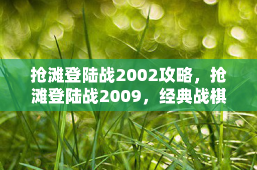 抢滩登陆战2002攻略图片