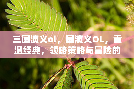 领略策略与冒险的魅力图片