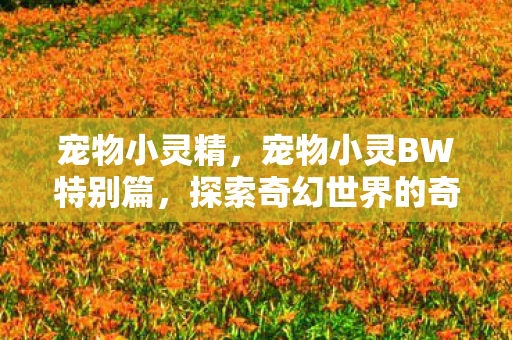 探索奇幻世界的奇妙旅程图片