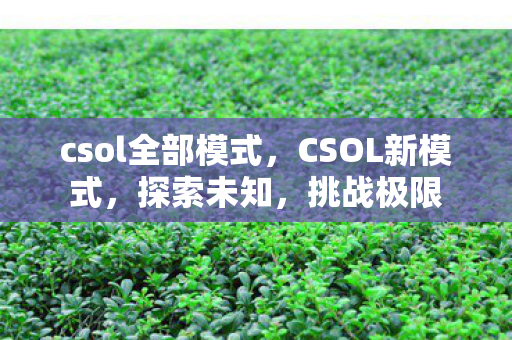csol全部模式图片