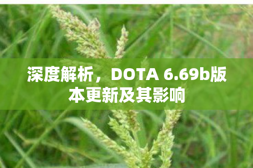 深度解析，DOTA 6.69b版本更新及其影响
