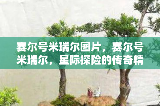 星际探险的传奇精灵图片