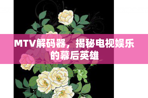 揭秘电视娱乐的幕后英雄图片