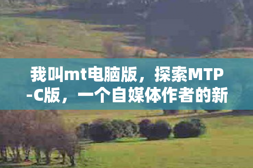 一个自媒体作者的新发现图片