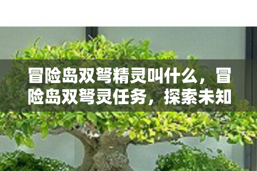 冒险岛双弩精灵叫什么图片