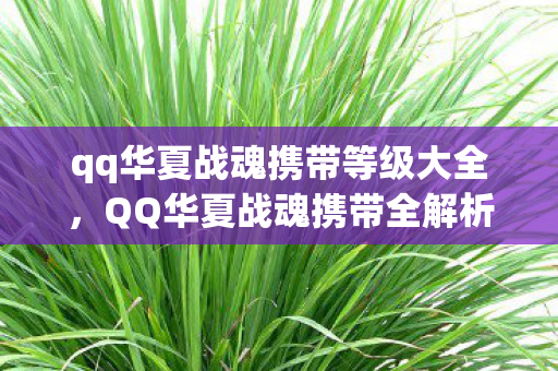 qq华夏战魂携带等级大全图片