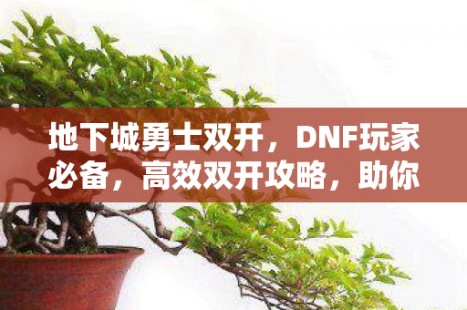 助你轻松提升游戏体验图片