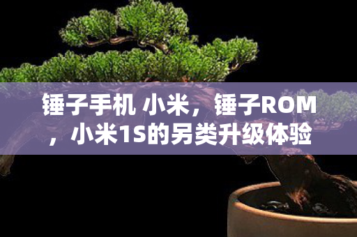 小米1S的另类升级体验图片