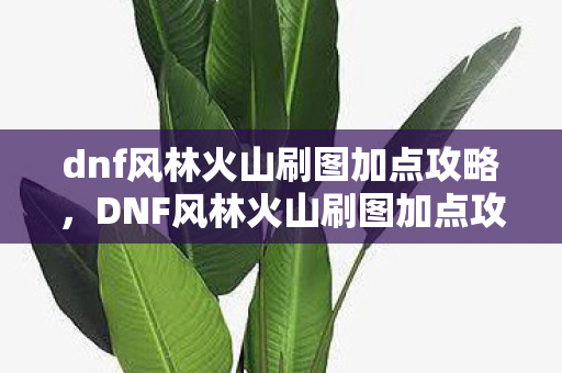 dnf风林火山刷图加点攻略图片