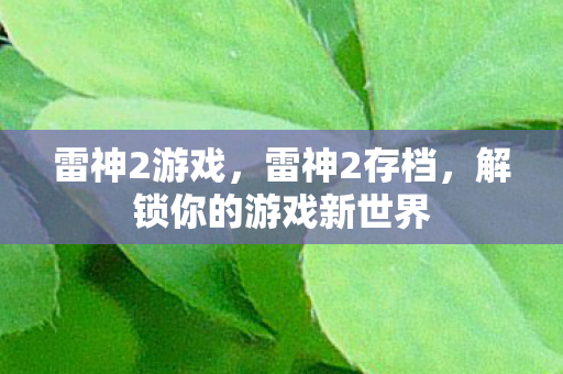 雷神2游戏，雷神2存档，解锁你的游戏新世界