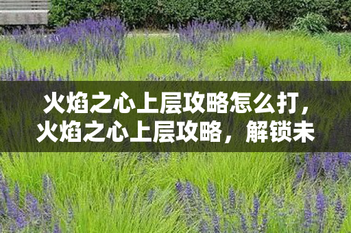 火焰之心上层攻略怎么打，火焰之心上层攻略，解锁未知领域的挑战与宝藏