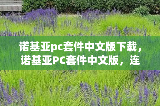 诺基亚pc套件中文版下载，诺基亚PC套件中文版，连接手机与电脑的桥梁