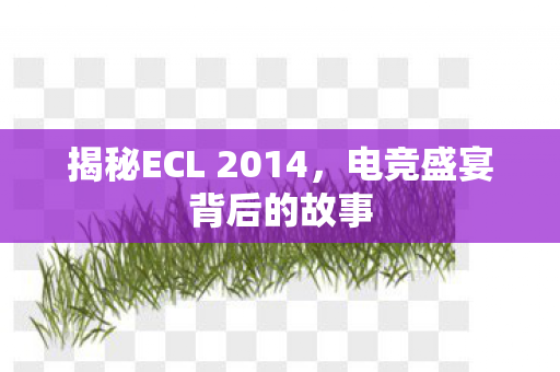 揭秘ECL 2014，电竞盛宴背后的故事