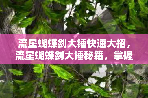 流星蝴蝶剑大锤快速大招图片