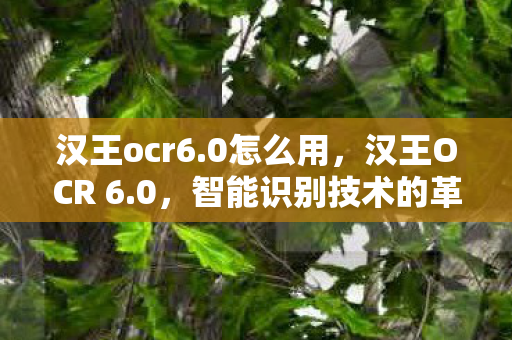 智能识别技术的革新与突破图片