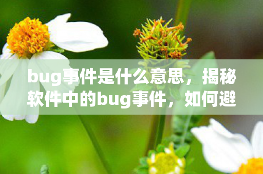 揭秘软件中的bug事件图片