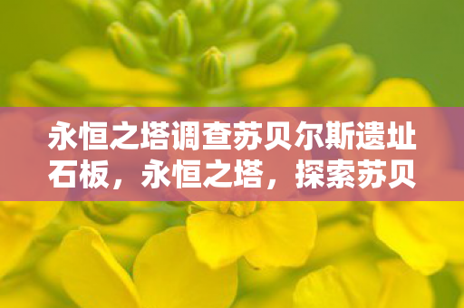 永恒之塔调查苏贝尔斯遗址石板图片