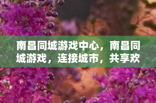 南昌同城游戏中心图片
