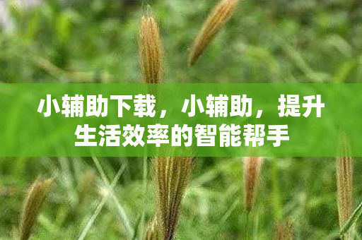 提升生活效率的智能帮手图片