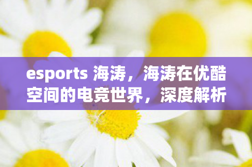 esports 海涛，海涛在优酷空间的电竞世界，深度解析Esports的发展与影响